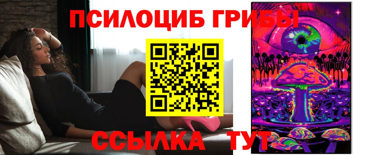 Ртищево  Галлюциногенные грибы мицелий  Вход с VPN 