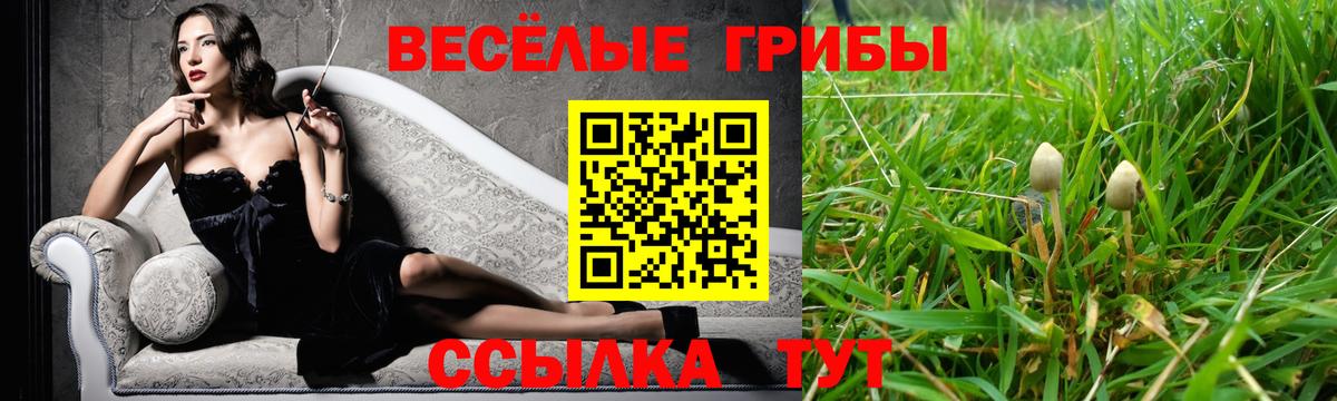 Галлюциногенные грибы мухоморы Ртищево